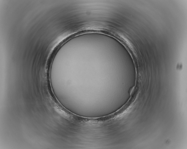 X0000091580779200709101017