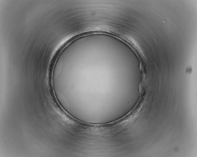 X0000091580780200709101017