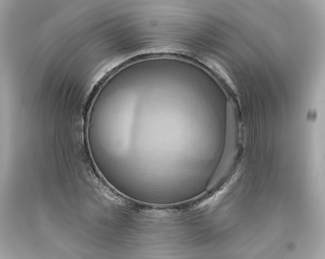 X0000091580781200709101017