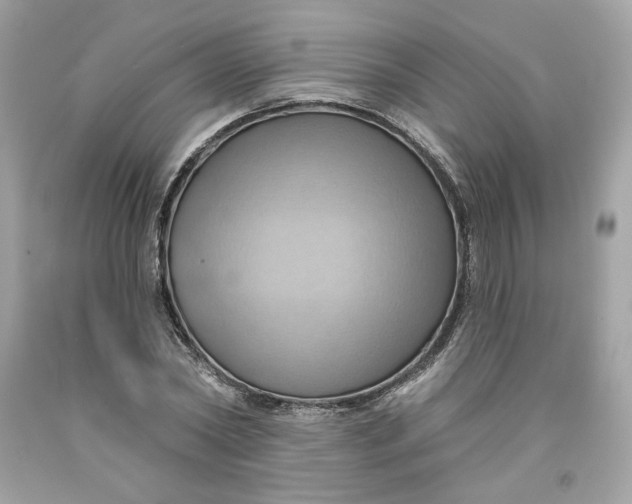 X0000091580782200709101017