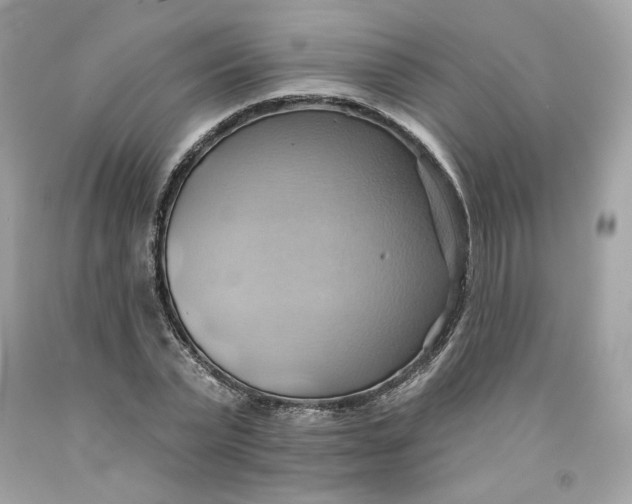 X0000091580783200709101017