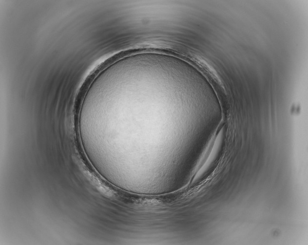 X0000091580784200709101017