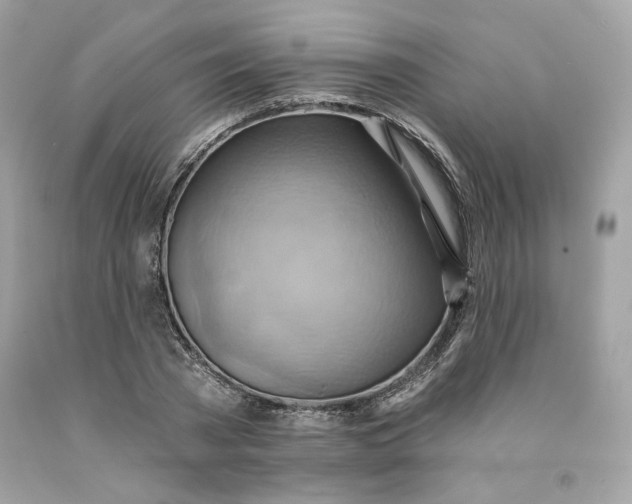 X0000091580785200709101017