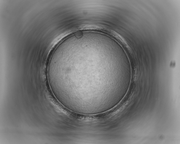 X0000091580786200709101017