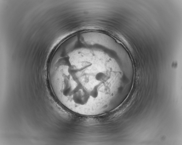 X0000091580787200709101017