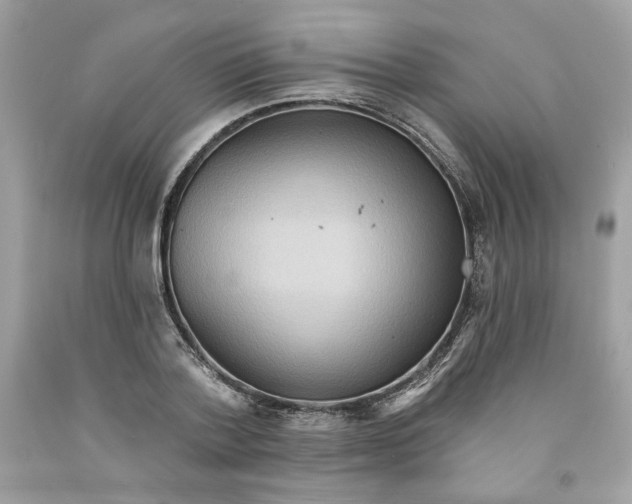 X0000091580788200709101017