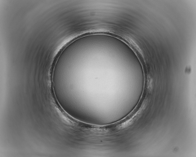 X0000091580789200709101017