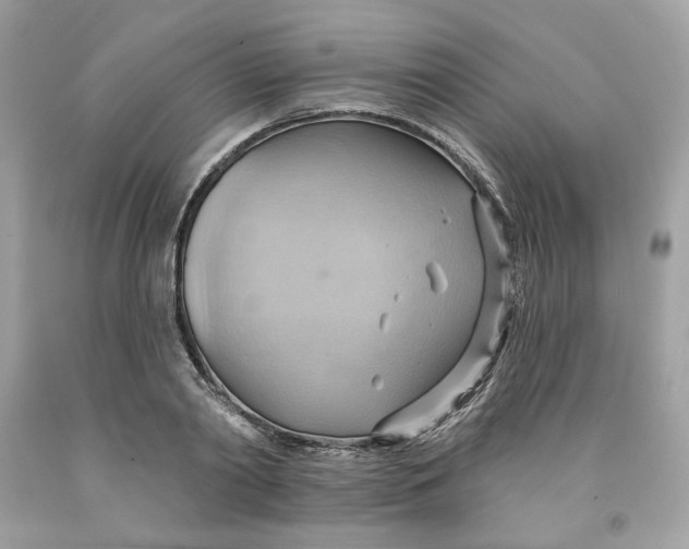 X0000091580790200709101017