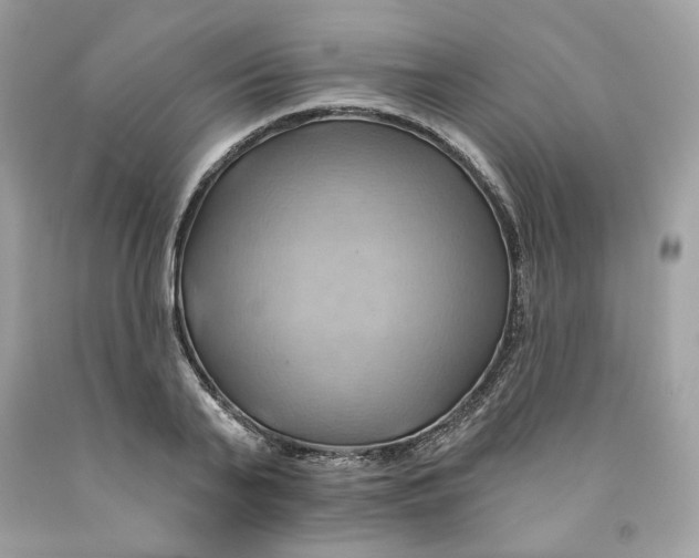 X0000091580791200709101017