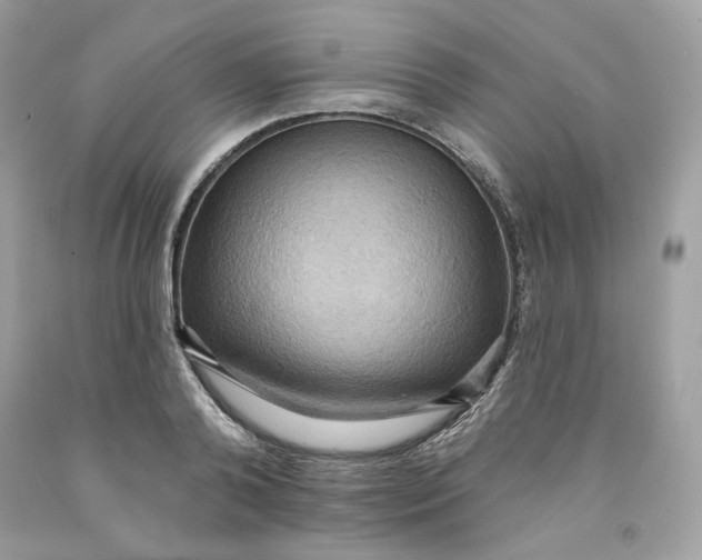 X0000091580792200709101017