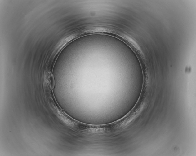 X0000091580793200709101017