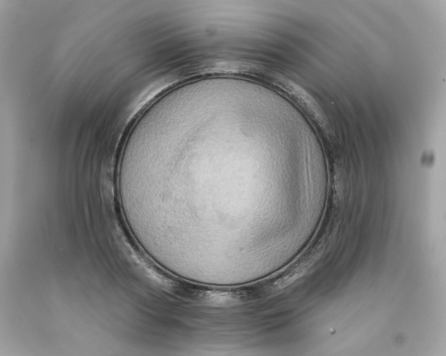 X0000091580794200709101017