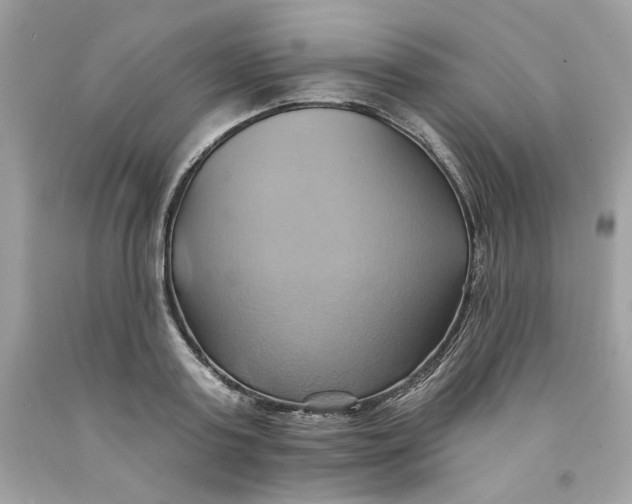 X0000091580795200709101017