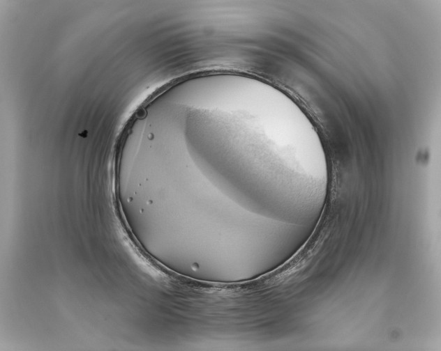 X0000091580796200709101017