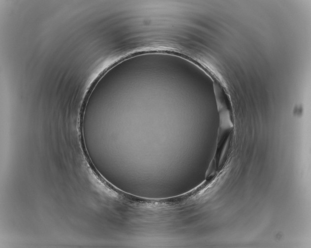 X0000091580797200709101017