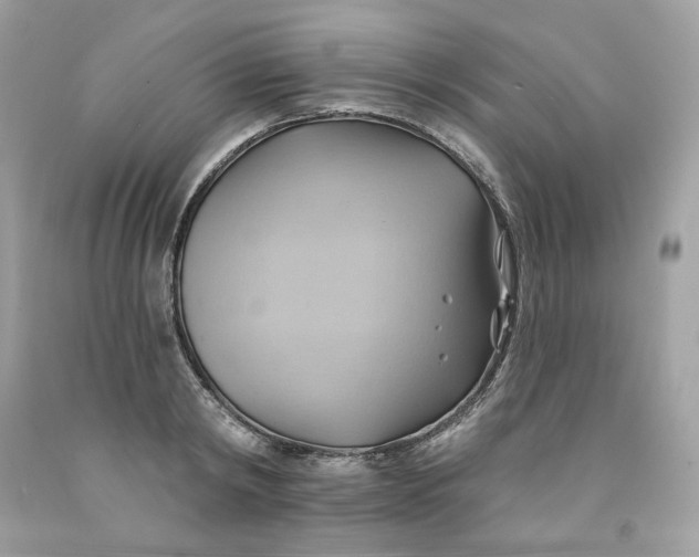 X0000091580798200709101017