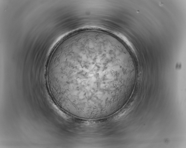 X0000091580799200709101017