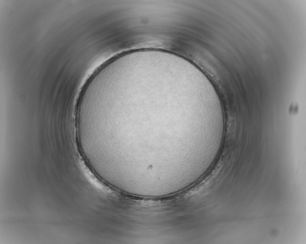 X0000091580800200709101017