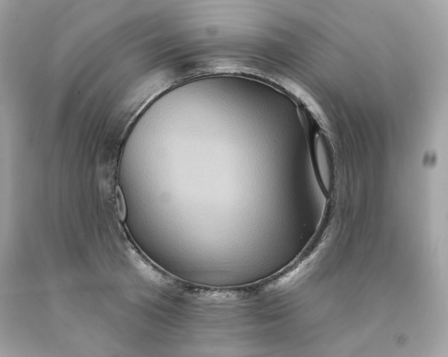 X0000091580801200709101017