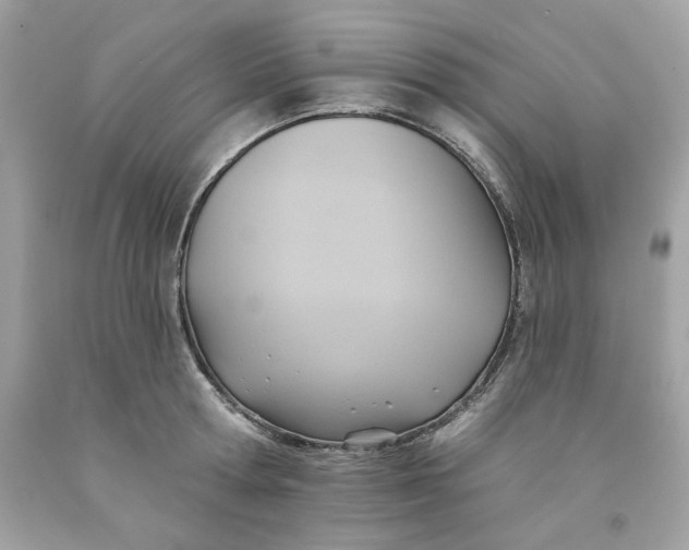 X0000091580802200709101017