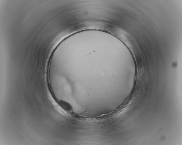 X0000091580803200709101017