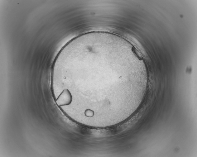 X0000091580804200709101017