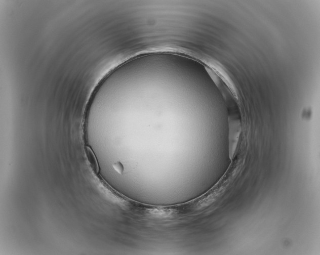 X0000091580805200709101017