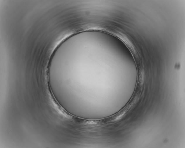 X0000091580806200709101017