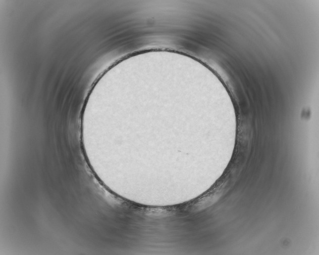 X0000091580807200709101017