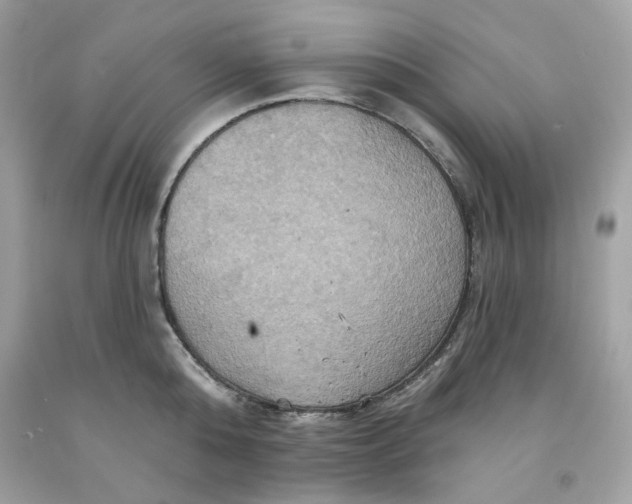 X0000091580808200709101017