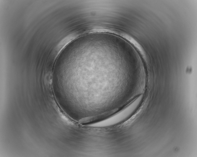 X0000091580809200709101017