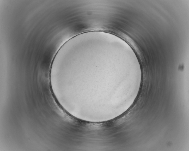 X0000091580810200709101017