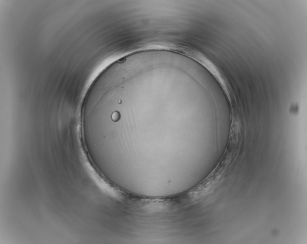 X0000091580811200709101017