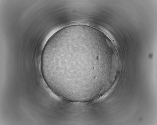 X0000091580812200709101017