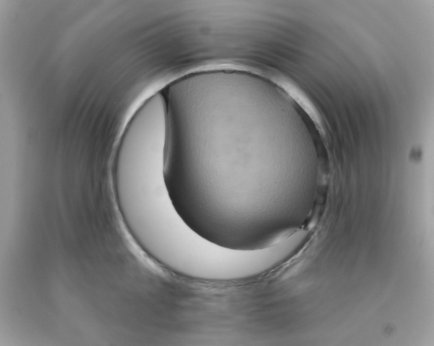 X0000091580813200709101017