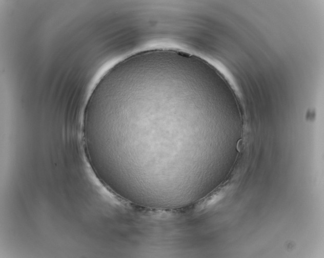 X0000091580815200709101017