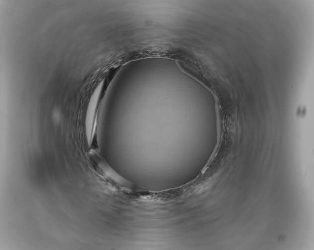 X0000091580818200709101016