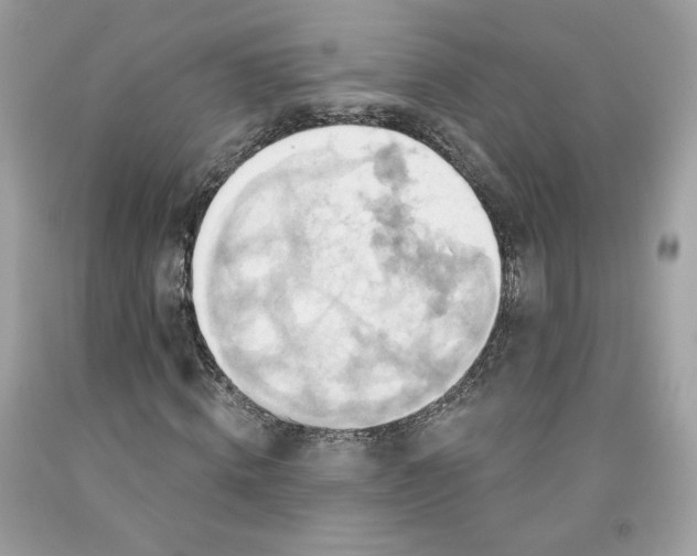 X0000091580820200709101016