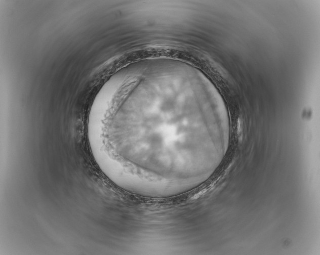 X0000091580821200709101016