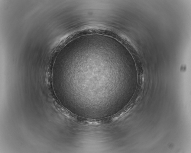 X0000091580822200709101016