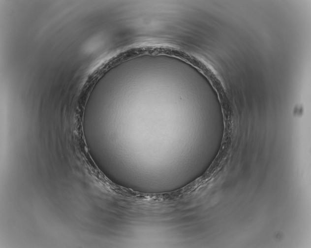 X0000091580823200709101016