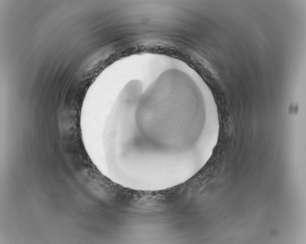 X0000091580824200709101016