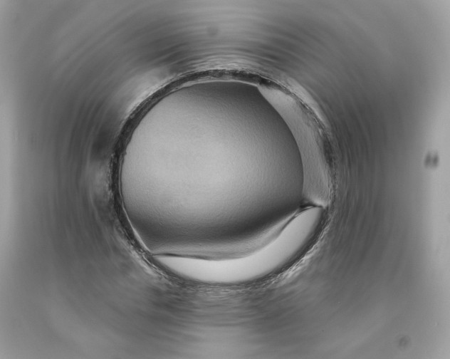 X0000091580826200709101016