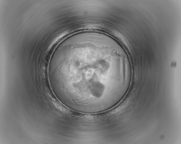 X0000091580827200709101016