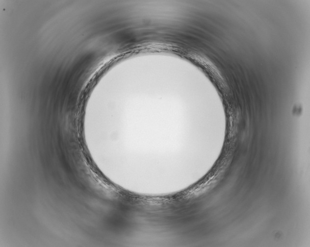 X0000091580828200709101016