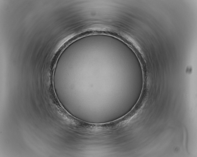 X0000091580829200709101016