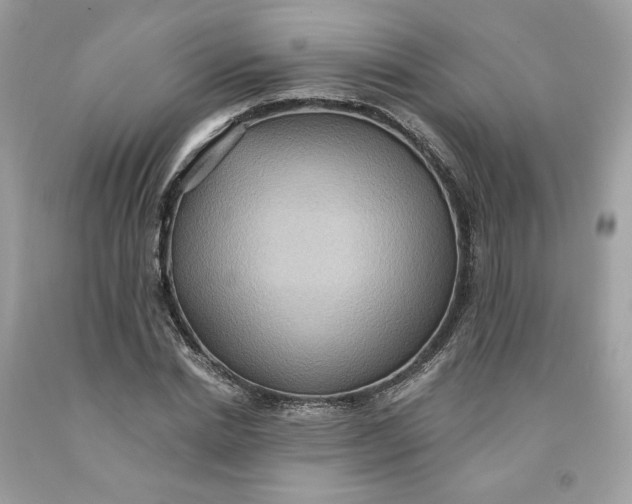 X0000091580830200709101016