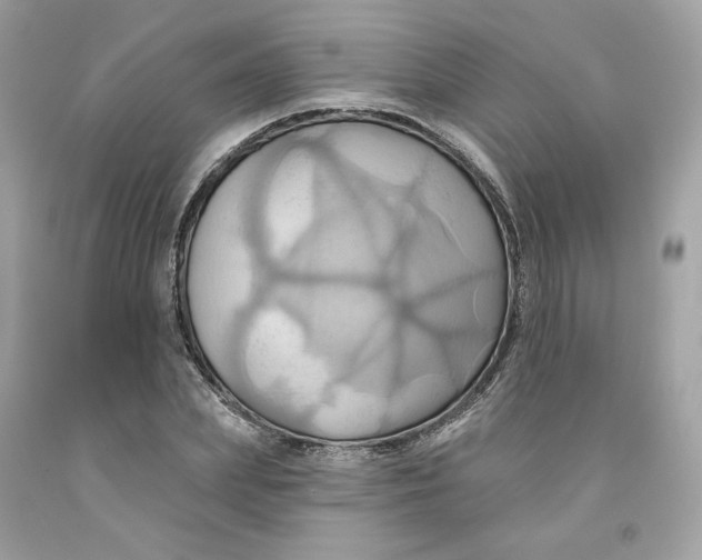 X0000091580831200709101016