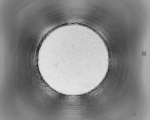 X0000091580832200709101016