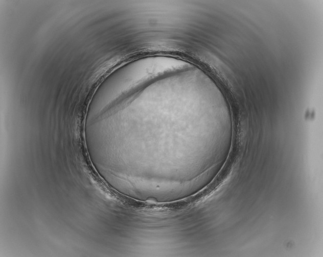 X0000091580833200709101016